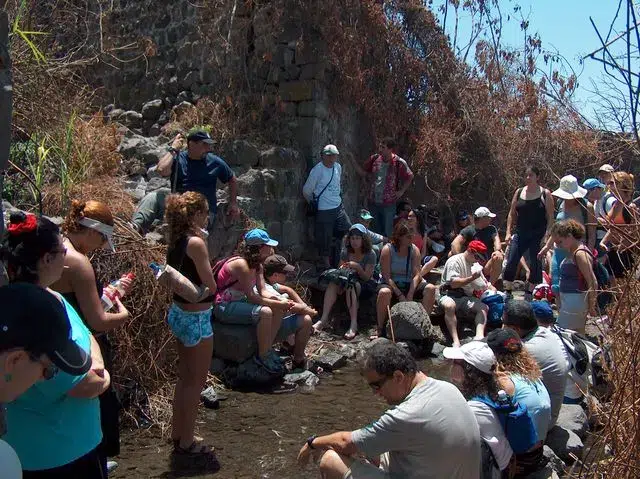 מטיילים ומטיילות פנויים פנויות יושבים לצד נחל במסלול מים בצפון